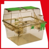 Effet de la cage à deux niveaux ventilée individuellement (Individually Ventilated Bi-Level Caging) sur le comportement anxieux et les performances de reproduction chez le rat (1)